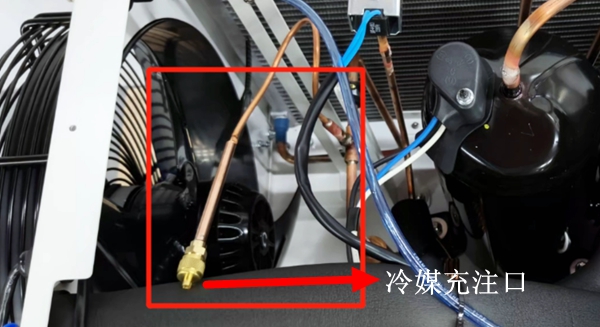 ��ý��ע��