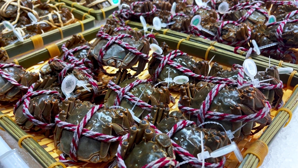 ����Դ�բз�����£���������������Դ���徲�а��ܣ�