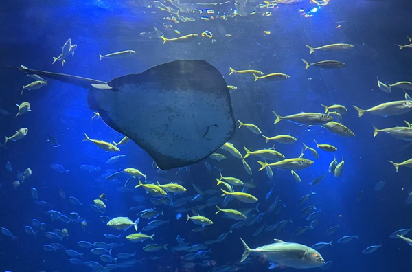 �������Ҫ��ҵ��ˮ��?